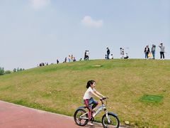 -滆湖低碳生态公园