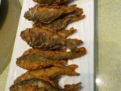 -小北江河鲜(新城店)