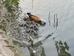 -南翠屏公园