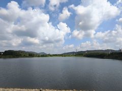-大连铭湖国际观光牧场