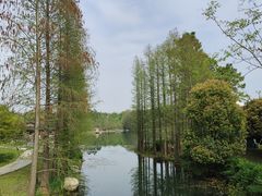 -尚湖风景区