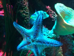 -沈阳海洋探索中心