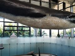 -中国（海南）南海博物馆