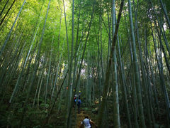 -鸡枕山