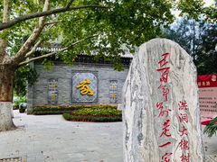 -大槐树寻根祭祖园