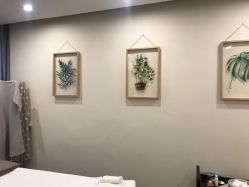 -康颜SPA自然疗愈皮肤管理中心