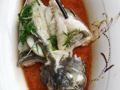 -鑫悦楼煎蟹·16年海鲜大排档