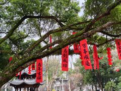 -墨池公园