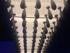 -侵华日军南京大屠杀遇难同胞纪念馆