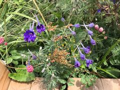 -白草畔自然风景区