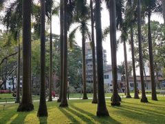 -广州雕塑公园
