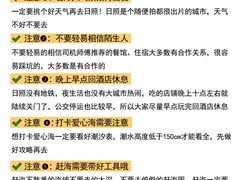 -日照海滨国家森林公园