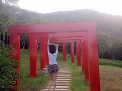 -厦门国家会计学院