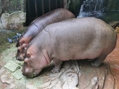 -长鹿旅游休博园