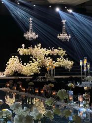 -琥珀婚礼策划AMBER WEDDING