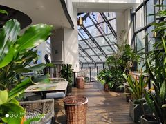 -大树餐厅(红旗街万达店)