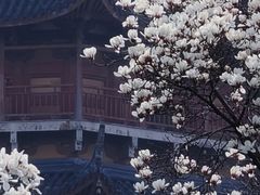 -老西白点心店