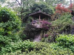 -南山植物园
