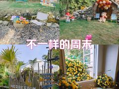 -HERRE·FARM 赫尔露营农场·团建聚会包场