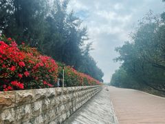 -宝安西湾红树林湿地公园