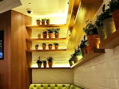 -翠華餐廳(浦东机场T1店)