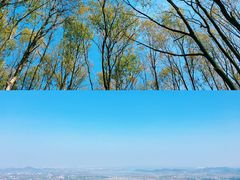 -九真山风景区