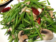 毛芹菜炒口蘑-亚克西姆新疆菜(库车店)