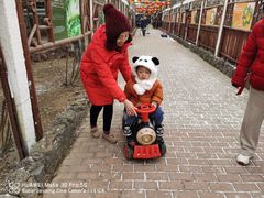 -呀路古热带植物园