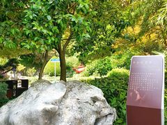 -十八棵（老龙井）御茶园(老龙井店)