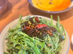 -树厨贵州菜(花果园购物中心店)