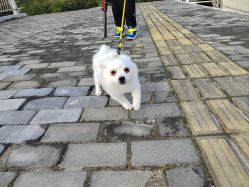 -HEYAN荷妍专业脱毛连锁机构