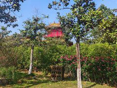 -句容茅山景区