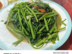 -金莲饭店·东南亚广东特色风味