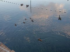 -后海公园