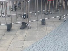 -复旦大学附属眼耳鼻喉科医院(浦江院区)