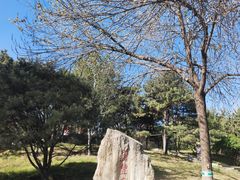 -丰台花园