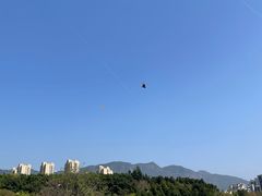 -牛岗山公园