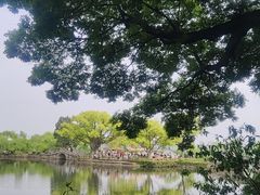 -无锡蠡湖国家湿地公园-蠡园