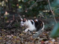 -苏州河梦清园环保主题公园