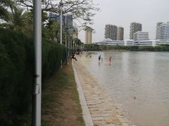 -五缘湾湿地公园