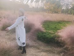 -羊亭河湿地公园