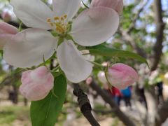 -元大都城垣遗址公园