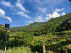 -大围山国家森林公园