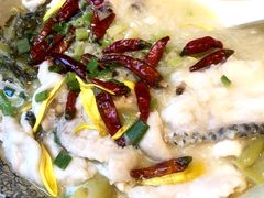 鹿桃酸菜鱼-大树餐厅(益田假日店)