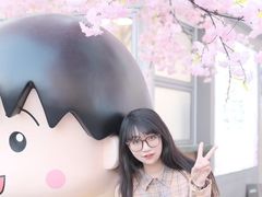 -首开·龙湖成都西宸天街