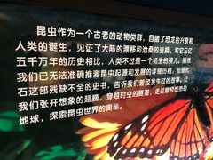 -上海昆虫博物馆