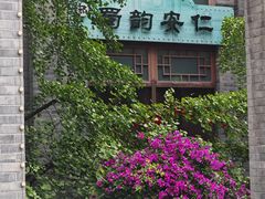 -安仁古镇