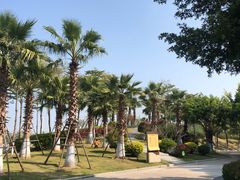 -五通灯塔公园