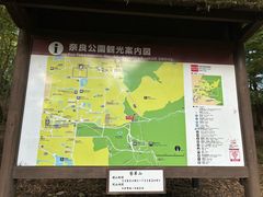 -奈良公园