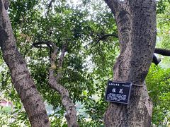 -中国茶叶博物馆(双峰馆区)